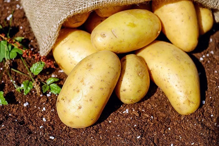 Trends and prospects for the development of potato growing in Ternopil region